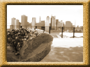 Bagle at Brooklyn, New York