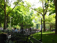 ���V���g���X�N�G�A