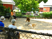 �h�b�O����