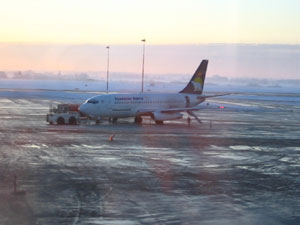 �������̏���s�@���[