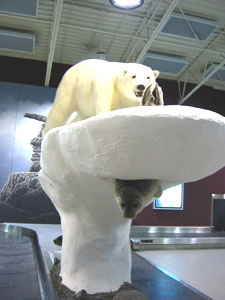 �V���N�}�Ƃ����炵�̔����@�ǂ�����ƕ|��