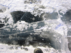 �A�C�X���[�h����̑��z