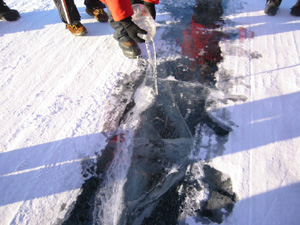 �A�C�X���[�h����̑��z