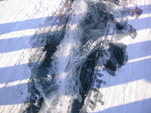 �A�C�X���[�h����̑��z