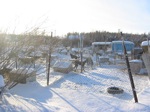 ������̌��@�����I�I