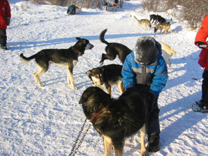 ������̌��@�����I