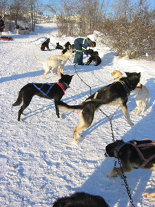 ������̌��@����ł܂�