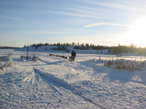 ������̌��@�o���I�I