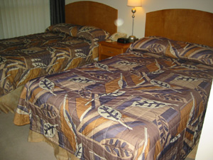 �x�b�h���[��