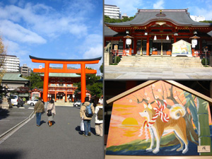 ���c�_��