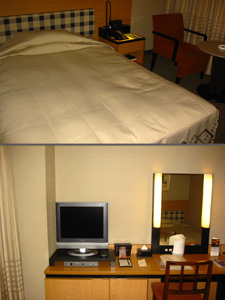 ���s���C�����z�e�����X�p