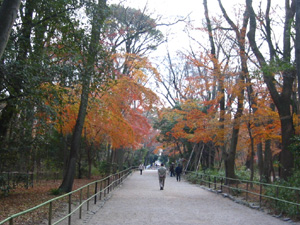 �����_��