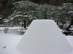 ��̋�t���@���R