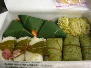 �`�̗t���i