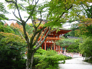 ���ꂢ�Ȗ{���̓����