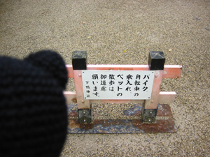 ��������_���ł�