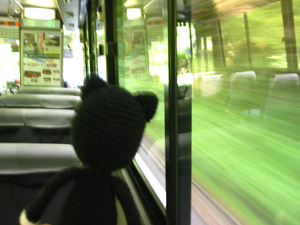 �M�D�ւ̃o�X