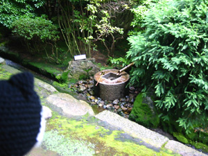 �������ǂ��H