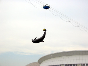 �C���J�V���[