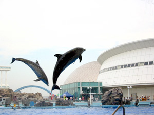 �C���J�V���[