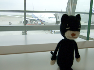 �H�c��`��2�^�[�~�i��