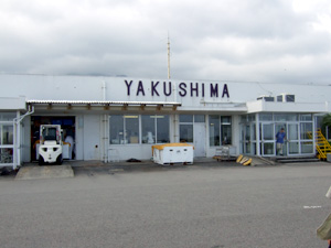 ���v����`