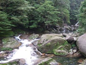 ���J�_����