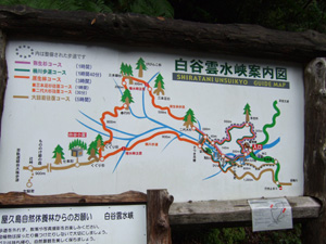 ���J�_�����ē��}