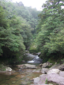 ���J�_����