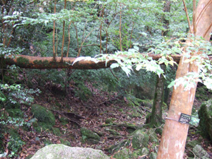 ���J�_����