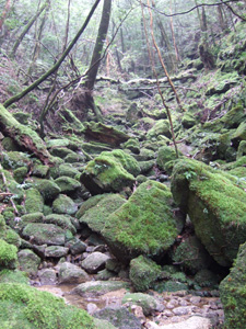 ���J�_����