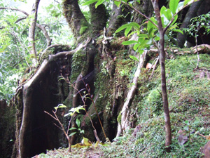 ���J�_����