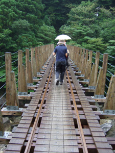 �g���b�R���̋�