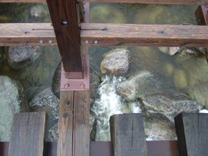 �g���b�R���̋�