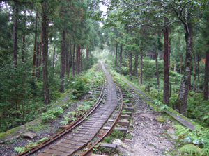 �܂��܂������g���b�R��