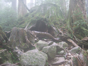 �E�B���\����