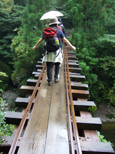 �g���b�R���̋�