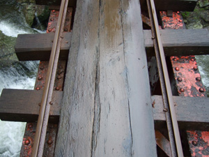 �g���b�R���̋�