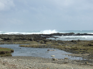 �^�C�h�v�[��