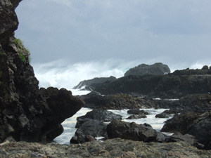 �䕗�����