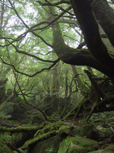 ���J�_����