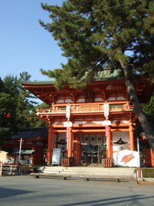 ���{�_��