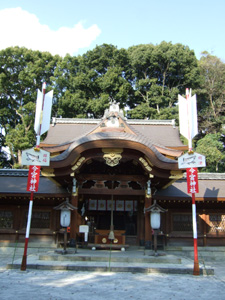 ���{�_��