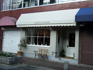 check & stripe