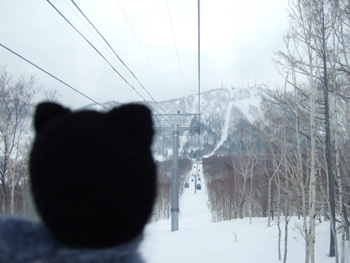 �S���h���ɂ�