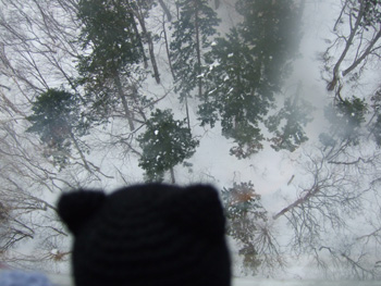 ���[�v�E�F�C�ɂ�