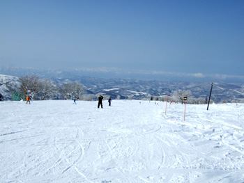 �L�����X�L�[��