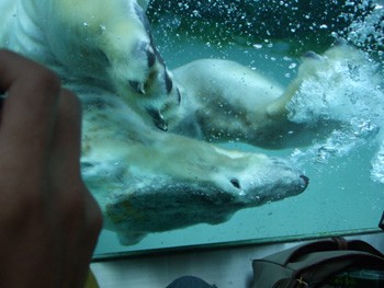 �z�b�L���N�O�}