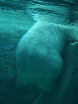 �z�b�L���N�O�}