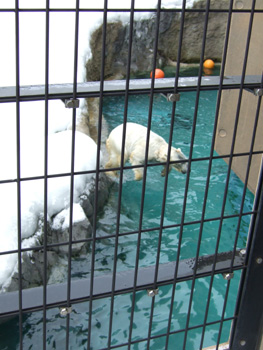 �z�b�L���N�O�}